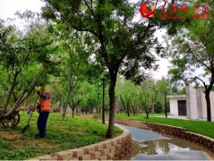 <b>【建筑垃圾】建筑垃圾變身再生骨料，只差一臺(tái)移動(dòng)破碎機(jī)！</b>